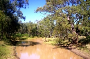 Longreach, Photo by Cathy Ellis