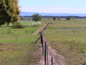 Fences, Photo by DETSI