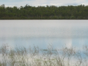 Lakefield National Park Photo by Lana Heydon