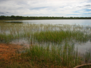 Lakefield National Park Photo by Lana Heydon