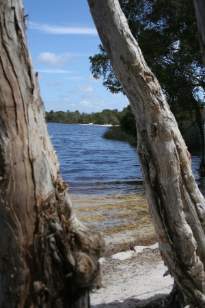 Brown Lake Photo by Andea Ferris
