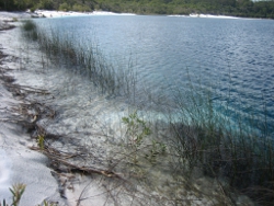 Fraser Island Photo by Lana Heydon