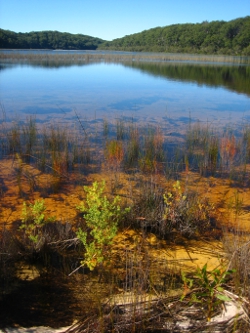 Fraser Island Photo by Lana Heydon