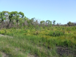 Deepwater National Park Photo by Jonathan Burcher