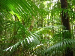 Fraser Island Photo by Lana Heydon