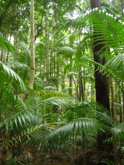 Fraser Island Photo by Lana Heydon