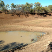 Drying Wetland Photo by Water Planning Ecology (DSITIA)