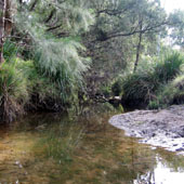 Sand and rock Photo by Water Planning Ecology Group, DSITIA