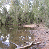 Funnel Creek, Photo by Water Planning Ecology Group, DSITIA