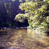 Rock and sand substrate Photo by Water Planning Ecology Group, DSITIA