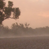 Winter drought Photo by Water Planning Ecology Group, DSITIA