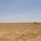 Example of hot, arid desert Photo by Water Planning Ecology Group, DSITIA