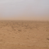 Desert landscape Photo by Water Planning Ecology Group, DSITIA