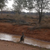 Bank shape Photo by Water Planning Ecology Group, DSITIA