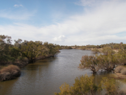 Flat terrain in the Lake Eyre basin Photo by Water Planning Ecology Group, DSITIA