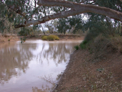 Variable flows in the Cooper Creek Windorah bridge Photo by Water Planning Ecology Group, DSITIA