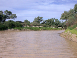 Moderately sloped banks of the Bulloo River Thargomindah Photo by Water Planning Ecology Group, DSITIA
