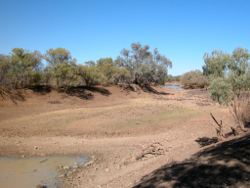 Variable flow at Glenmurken Waterhole Windorah Photo by Water Planning Ecology Group, DSITIA