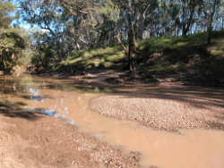 Low flows in the Balonne River Photo by Water Planning Ecology Group, DSITIA