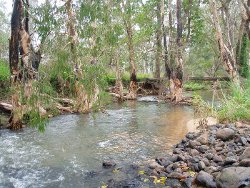 Road to Croydon, Photo by Chris Sanderson