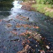 Yabba Creek, Photo by Water Planning Ecology Group, DSITIA