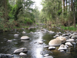 Running Creek Drynans Photo by Water Planning Ecology Group, DSITIA