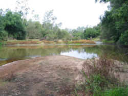 Sandy substrate in the bank habitat at Baffle Creek Mimdale Photo by Water Planning Ecology Group, DSITIA