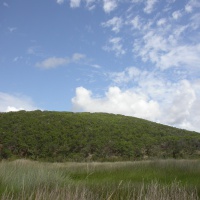 Eighteen Mile Swamp, Stradbroke  Island, Photo by Water Planning Ecology Group, DSITIA