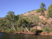 Bank slope example, Photo by Water Planning Ecology Group, DSITIA