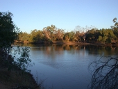 Wallabadah waterhole, Photo by Water Planning Ecology Group, DSITIA