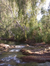 River crossing on road to Lawn Hill, Photo by Water Planning Ecology Group, DSITIA