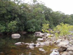 Hard substrates are typically present in the edge habitats of the Wet Tropics freshwater biogeographic province Photo by Water Planning Ecology Group, DSITIA