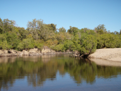 Perennial flows in the Daintree basin Photo by Water Planning Ecology Group, DSITIA