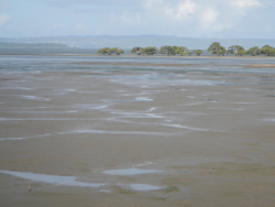 Flats between Stradbroke and the mainland Photo by Cathy Ellis