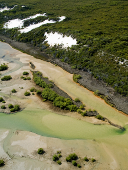 Moreton Island, Photo by DETSI