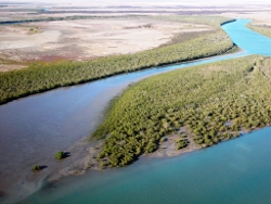 Spring Creek Estuary Photo by Roger Jaensch, Wetland International