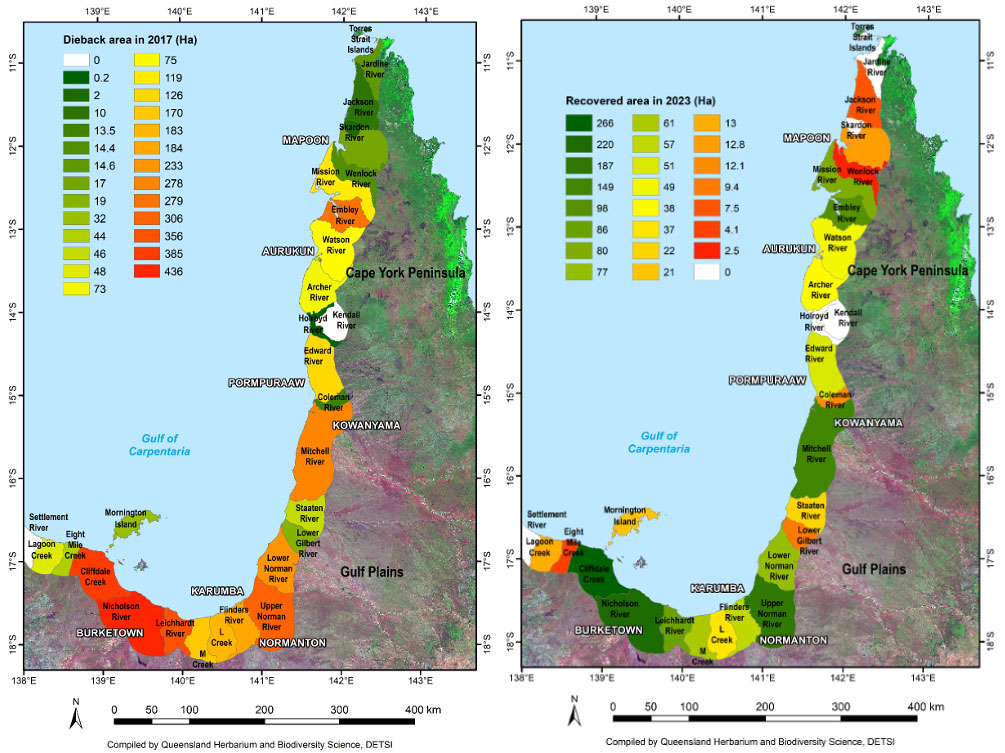 Catchments in the Gulf of Carpentaria assessed for dieback (left) and recovery (right)