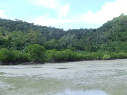 Palm Bay on Long Island Photo by Cathy Ellis