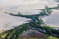 Halifax Bay, Photo by DETSI