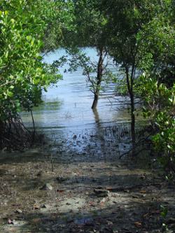 Fishermans Bay Photo by Cathy Ellis