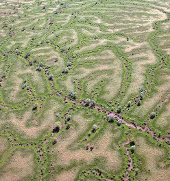 Channel mosaic Cooper Creek, Photo by Roger Jaensch