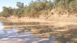 Murray-Darling River Photo by Water Planning Ecology Group, DSITIA 