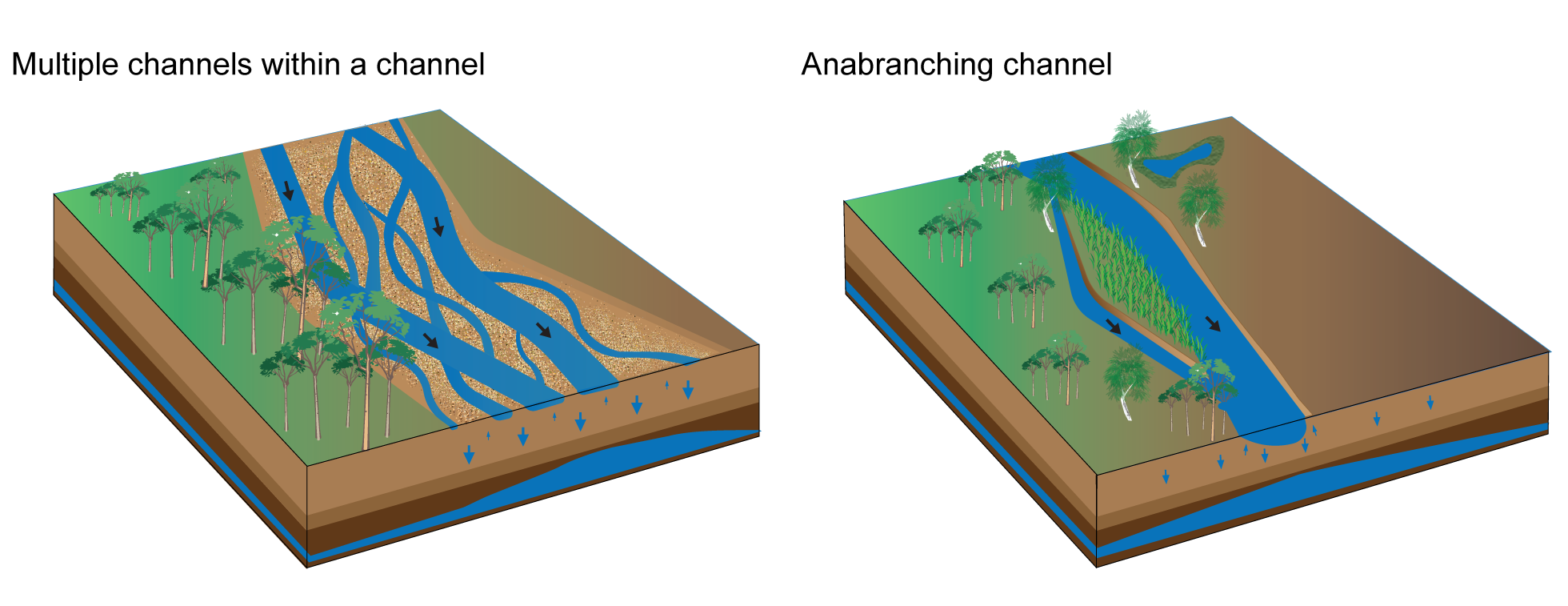 Super reach scale conceptual models. Image by Queensland