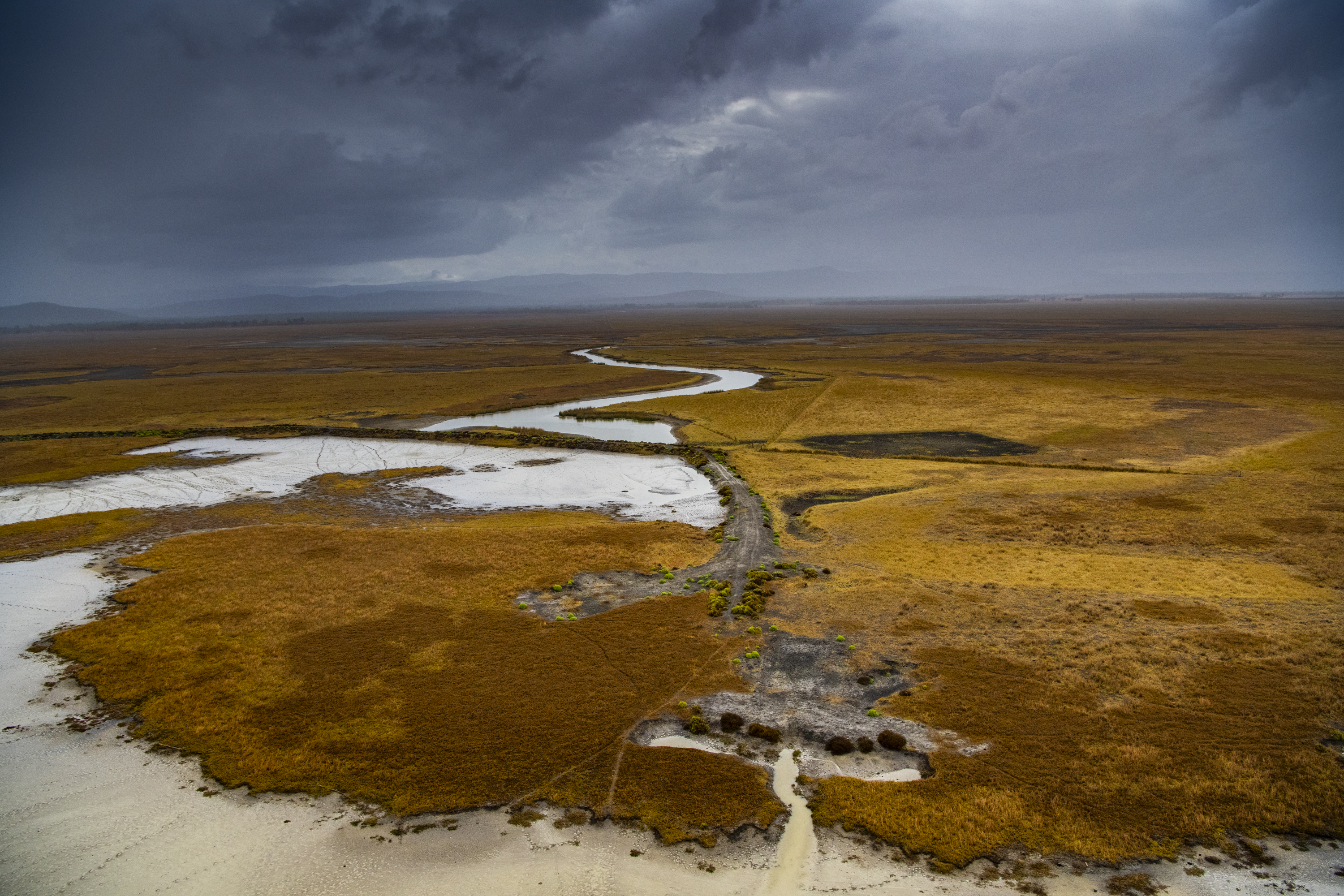 Waverley Creek , St .Lawrence Photo by Gary Cranitch © Queensland Museum