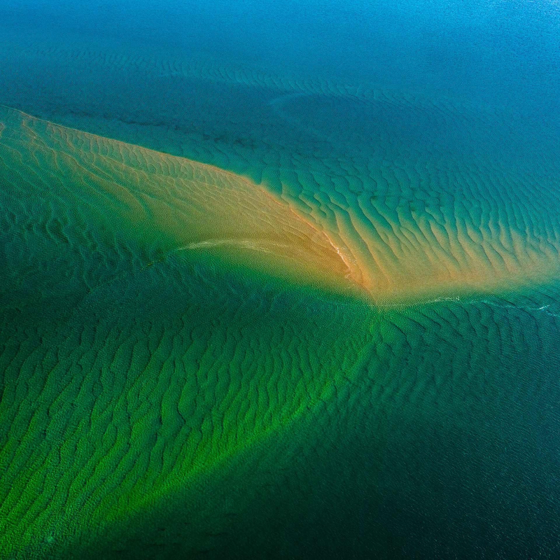Great Sandy Marine Park, Photo by Gary Cranitch copyright Queensland Museum