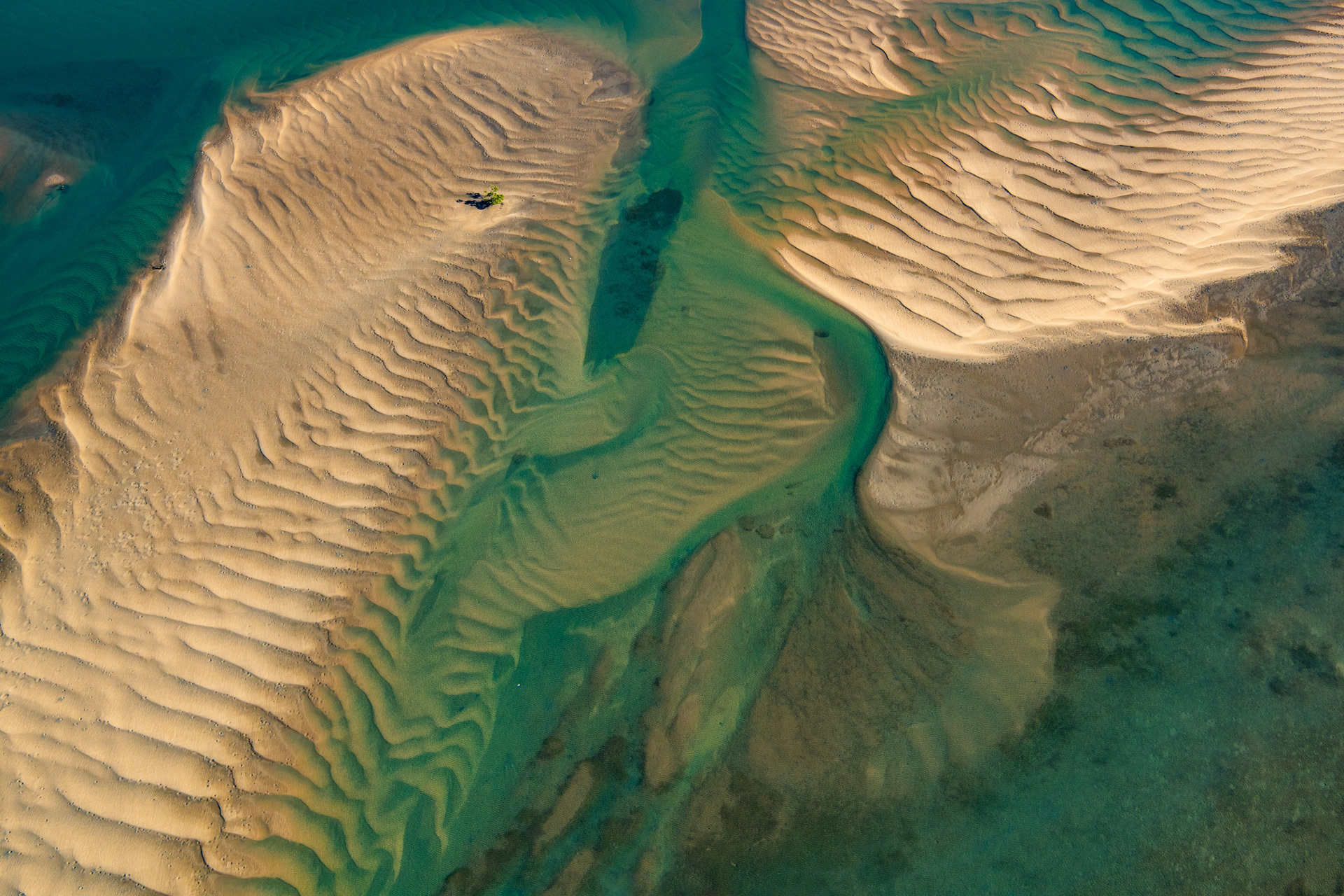 Great Sandy Marine Park, Photo by Gary Cranitch copyright Queensland Museum