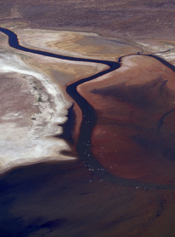 Currawinya, Photo by DETSI