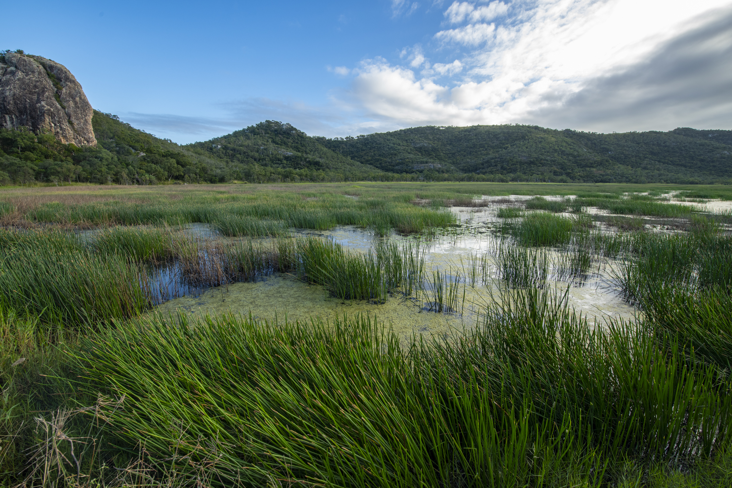  Photo by Gary Cranitch © Queensland Museum
