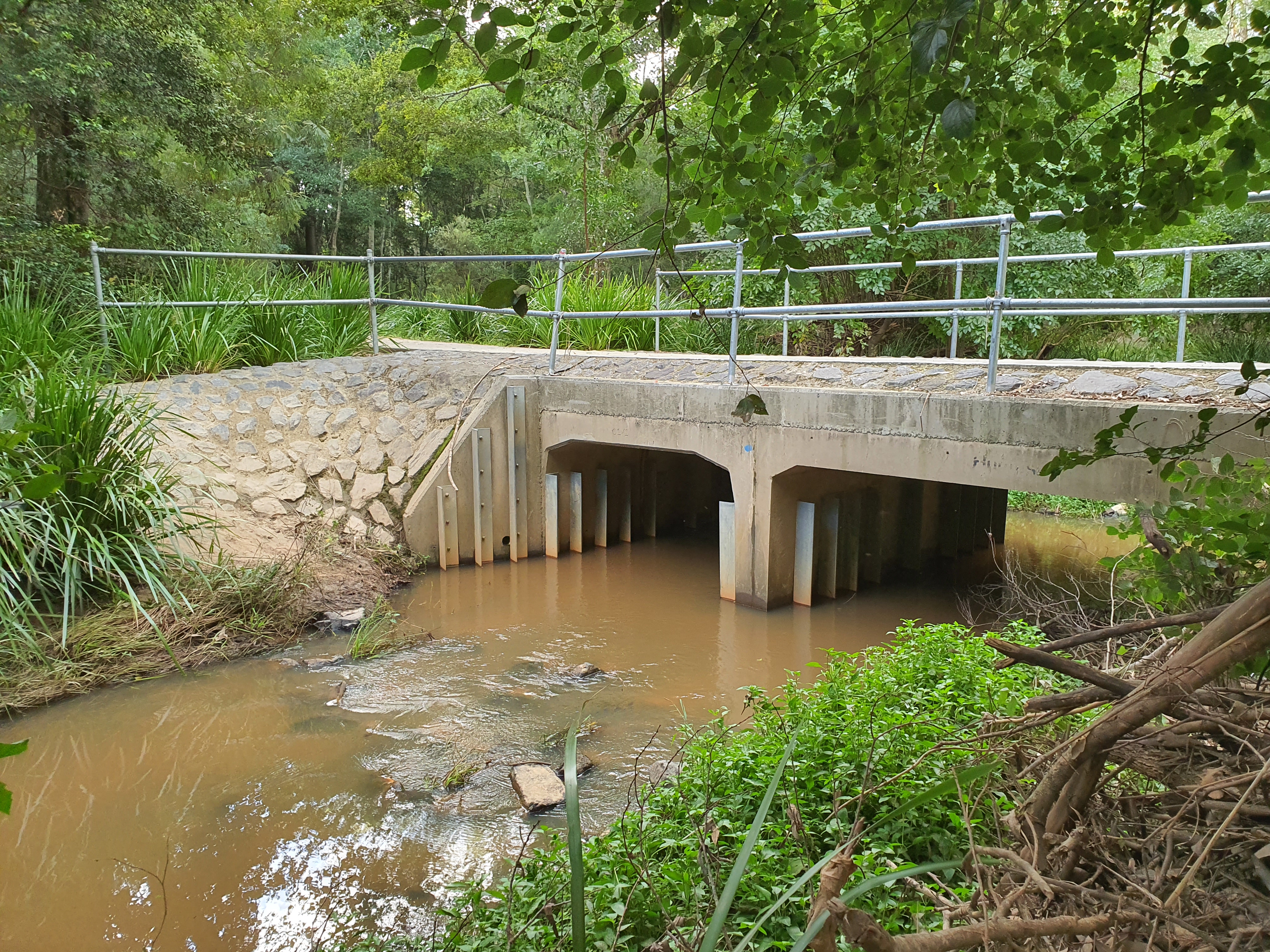 Fish-friendly culvert with baffles  under Louise Clews walk, Opossum Creek in Ipswich, Queensland. Photo by Natasha Jones