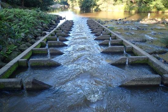 Trapezoidal fishway, Wyong River, New South Wales Photo by Tim Marsden